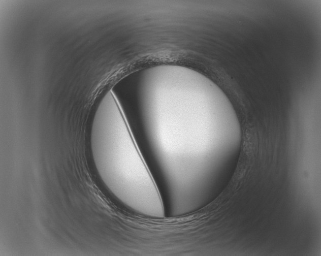 X0000086050023200703230932