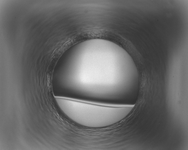X0000086050025200703230932