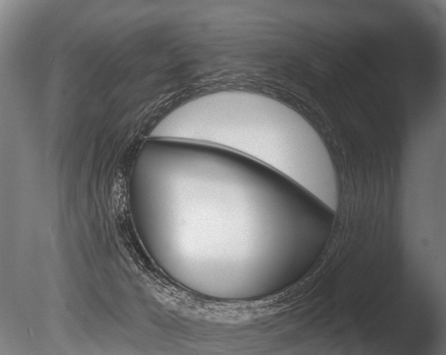 X0000086050029200703230932