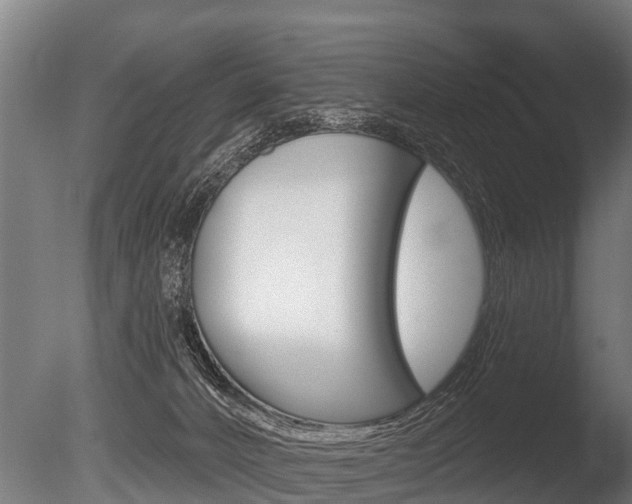 X0000086050032200703230932