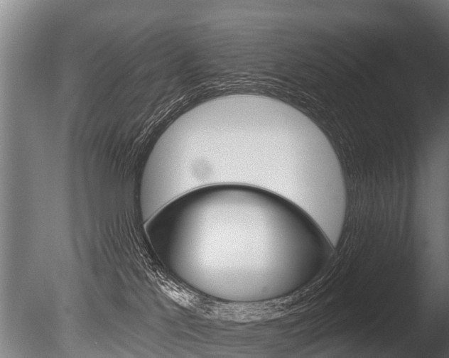 X0000086050041200703230932