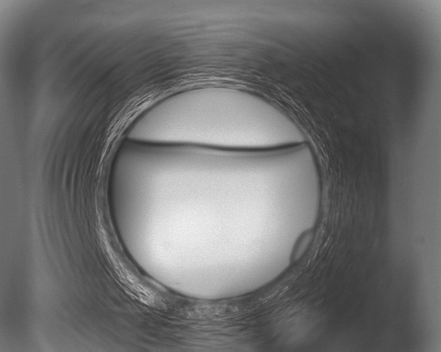 X0000086050049200703230931