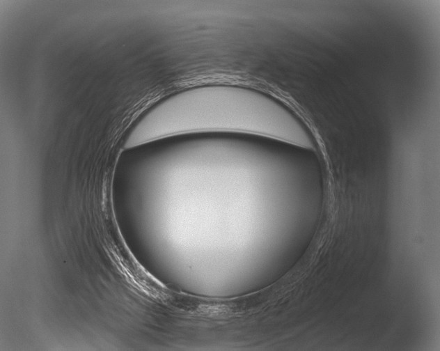 X0000086050057200703230931