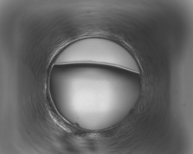 X0000086050059200703230931