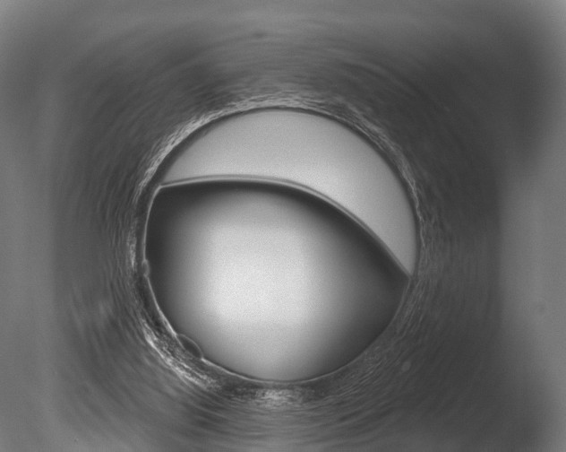 X0000086050060200703230931