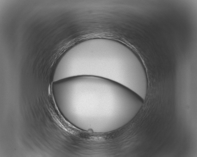 X0000086050061200703230931