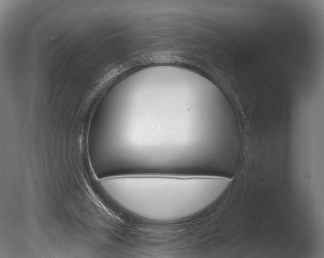 X0000086050063200703230931