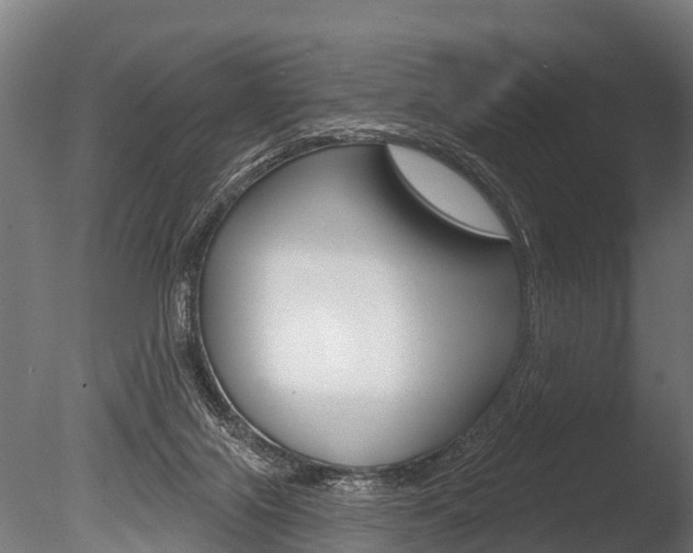 X0000086050071200703230932