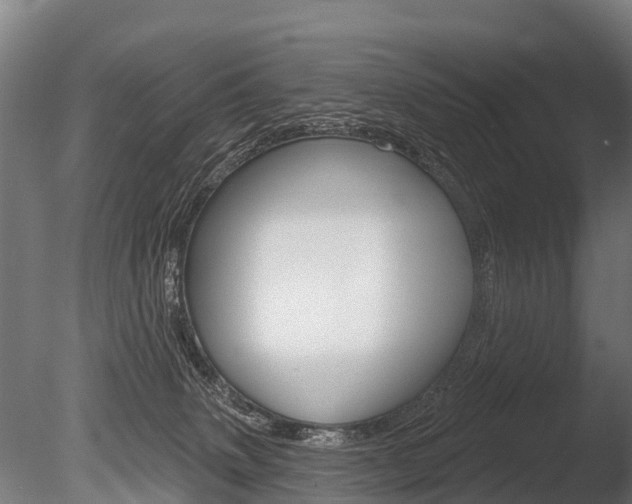 X0000086050083200703230932