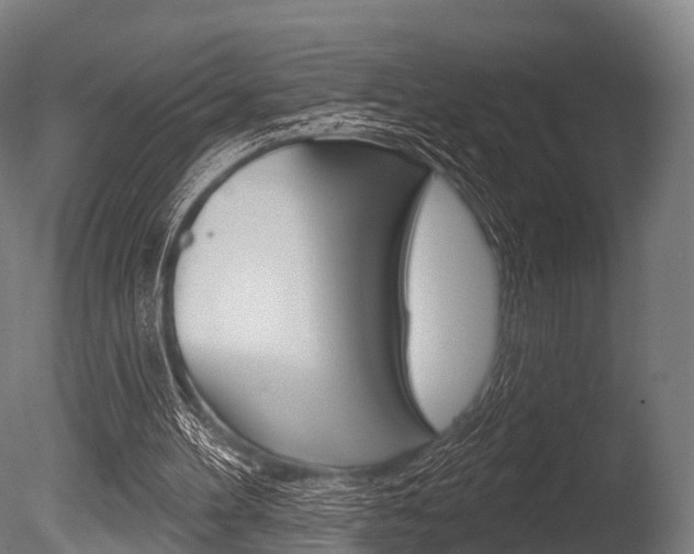 X0000086050100200703230931