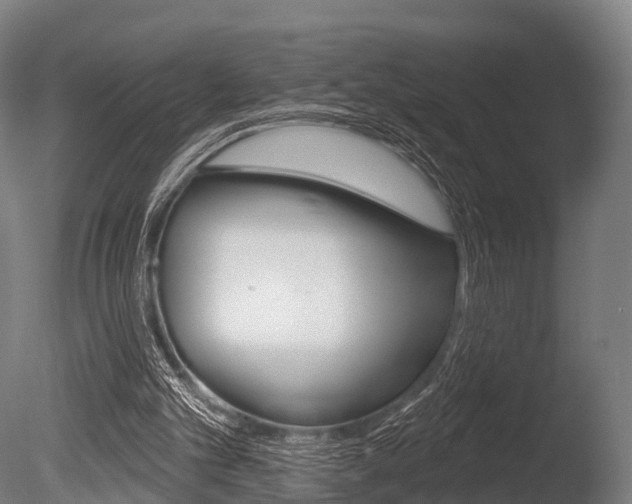 X0000086050101200703230931