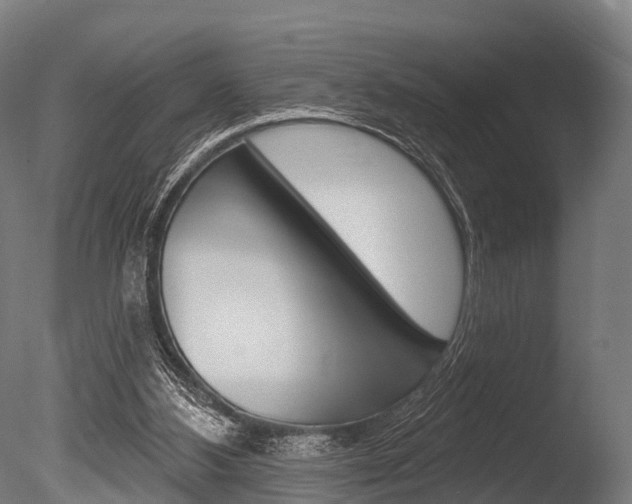 X0000086050108200703230931