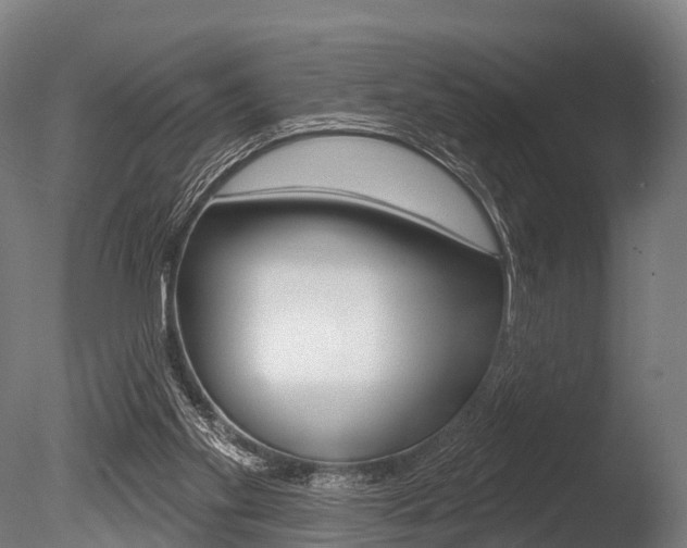 X0000086050109200703230931