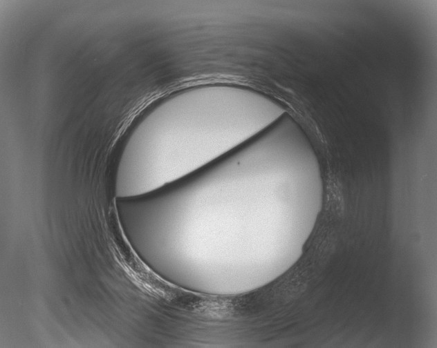 X0000086050110200703230931