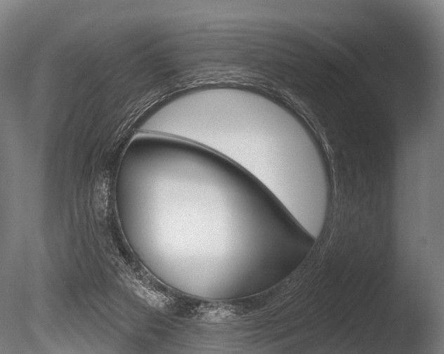 X0000086050113200703230931