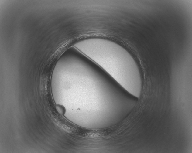 X0000086050115200703230931