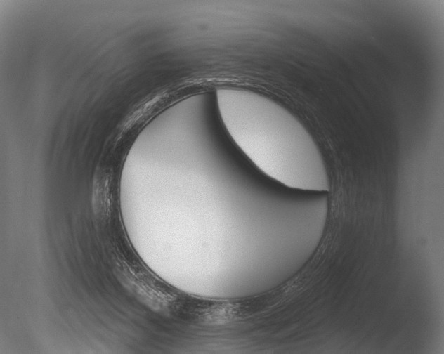 X0000086050116200703230931