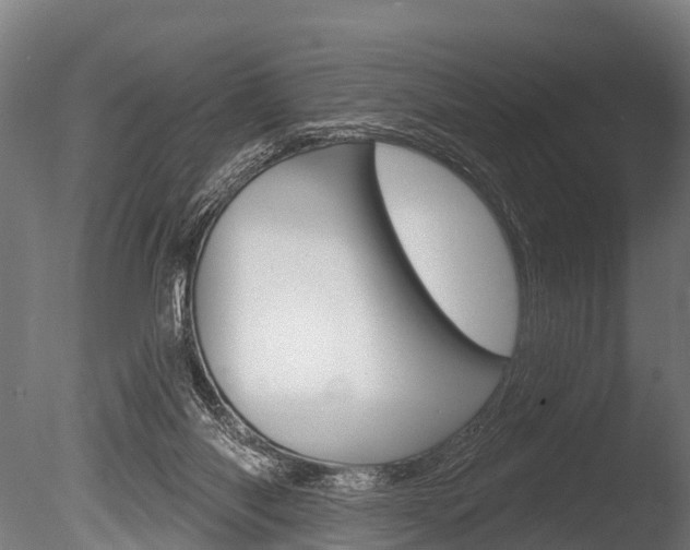 X0000086050118200703230931