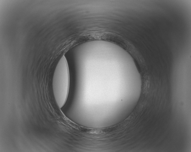 X0000086050121200703230931
