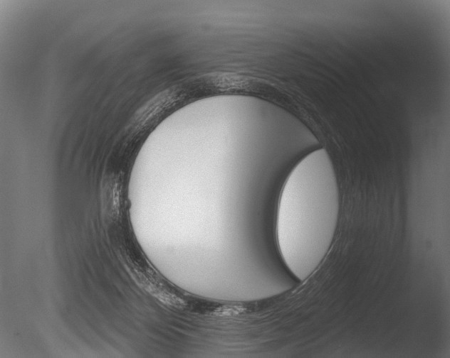 X0000086050124200703230931