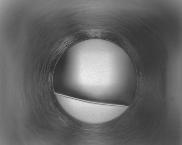 X0000086050125200703230931