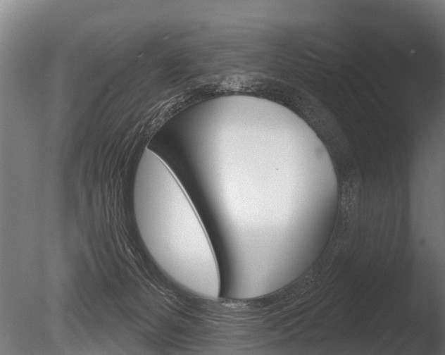 X0000086050127200703230931