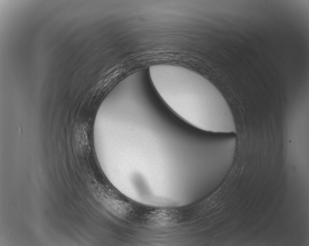 X0000086050128200703230931