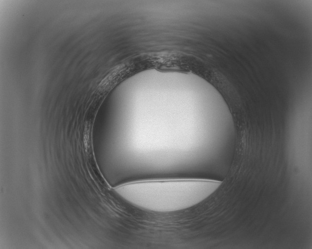 X0000086050129200703230931