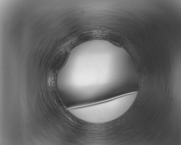 X0000086050137200703230930