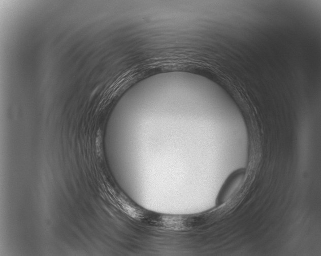 X0000086050144200703230930