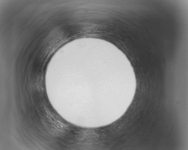 X0000086050146200703230929