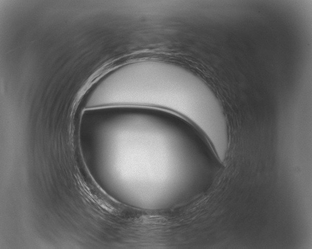 X0000086050150200703230930