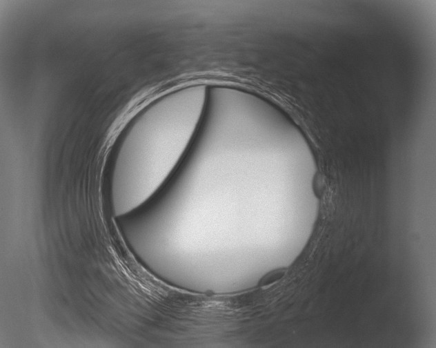 X0000086050151200703230930