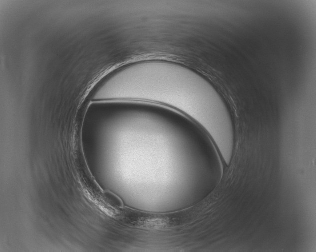 X0000086050156200703230930