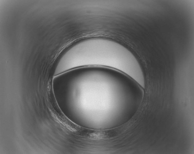 X0000086050164200703230930
