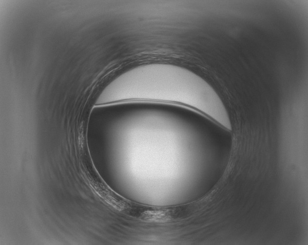 X0000086050170200703230930