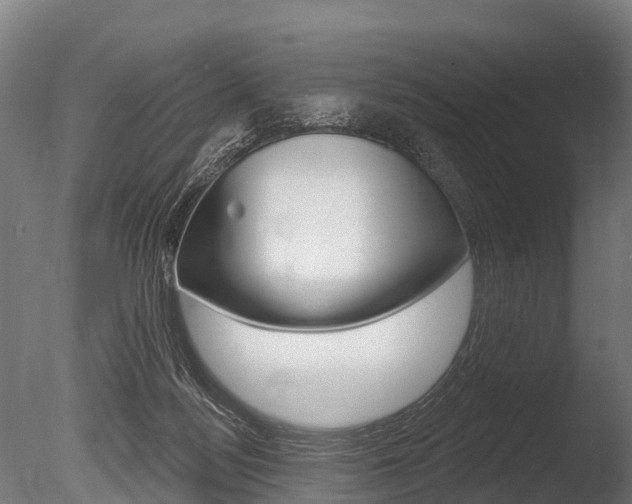 X0000086050172200703230930