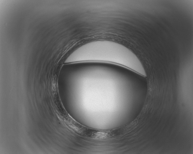 X0000086050176200703230930