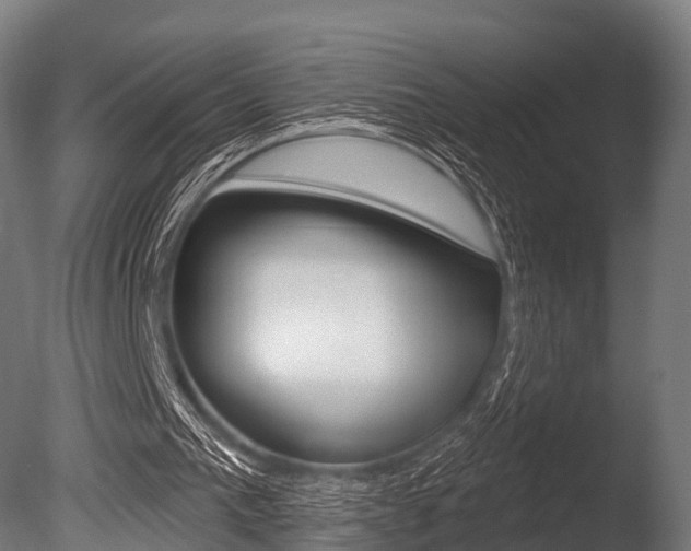 X0000086050193200703230929