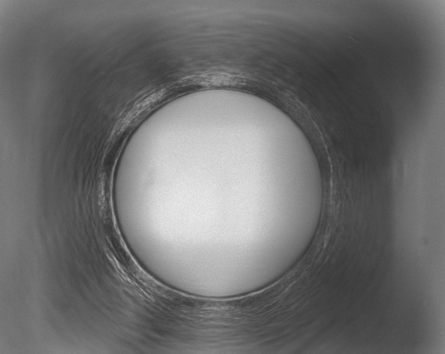 X0000086050202200703230929
