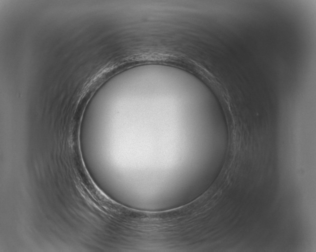X0000086050203200703230929