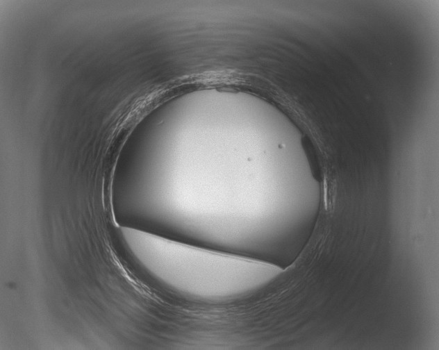 X0000086050205200703230929