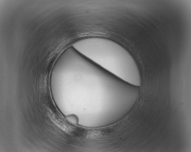 X0000086050206200703230929