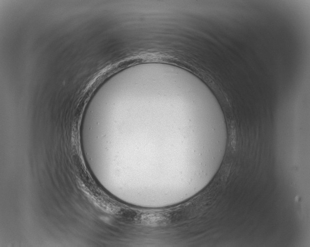 X0000086050208200703230929
