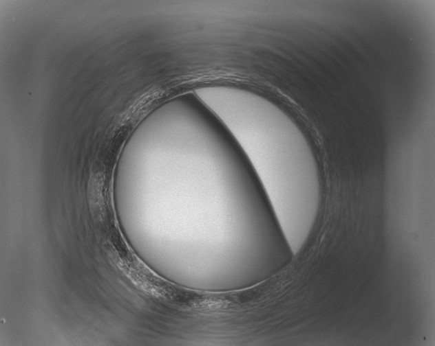 X0000086050209200703230929