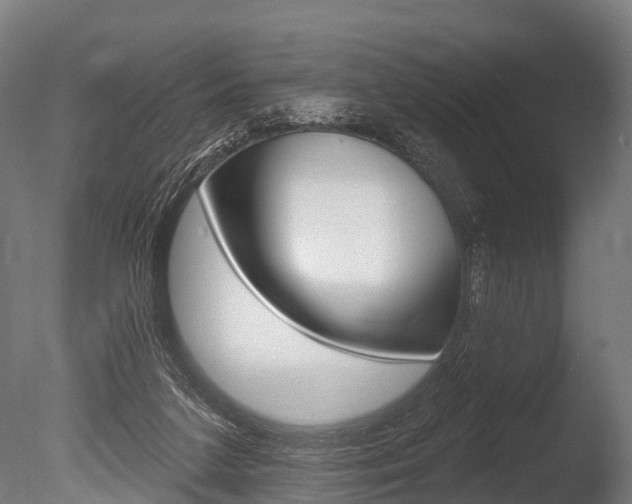X0000086050211200703230929