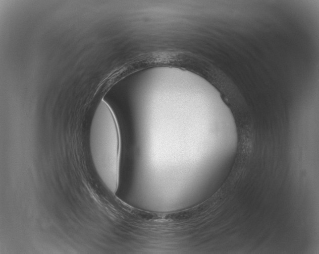 X0000086050216200703230929