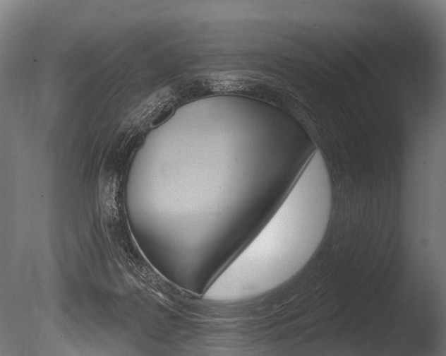 X0000086050219200703230929