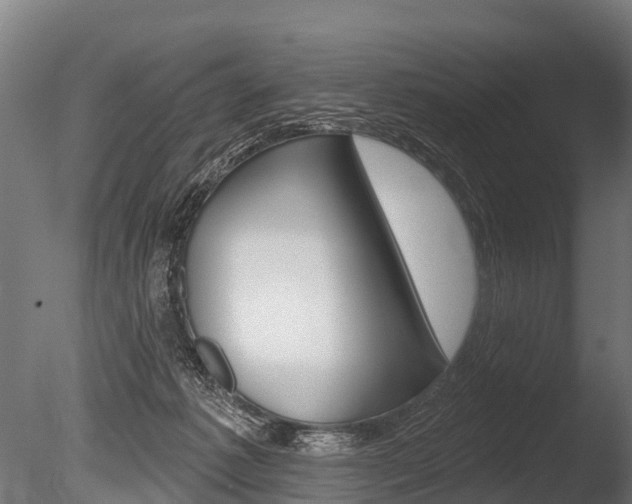 X0000086050221200703230929
