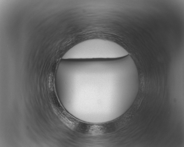 X0000086050222200703230929